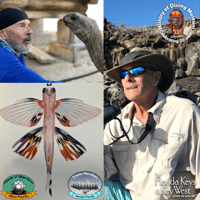 November Immerse Yourself! William Beebe in the Galapagos