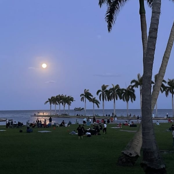 Moon Viewing at Deering Estate