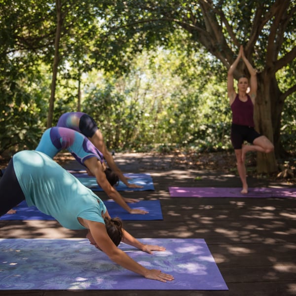 YOGA IN THE GARDEN