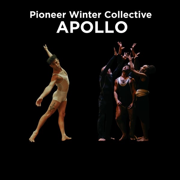 Pioneer Winter Collective - Apollo