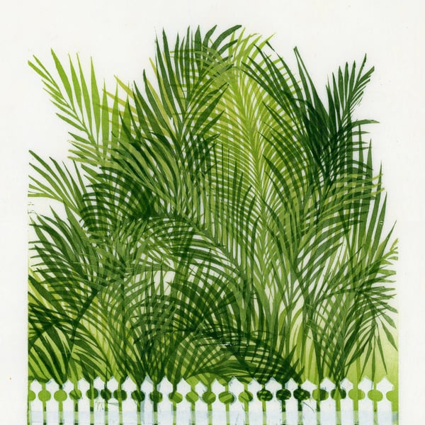 Mango Madness Summer Members' Exhibit