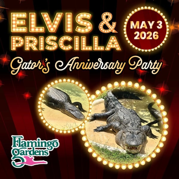 Elvis & Pricilla (Gator's) Anniversary 