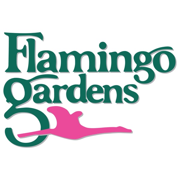 Flamingo Gardens' Kids' Sunset Safari