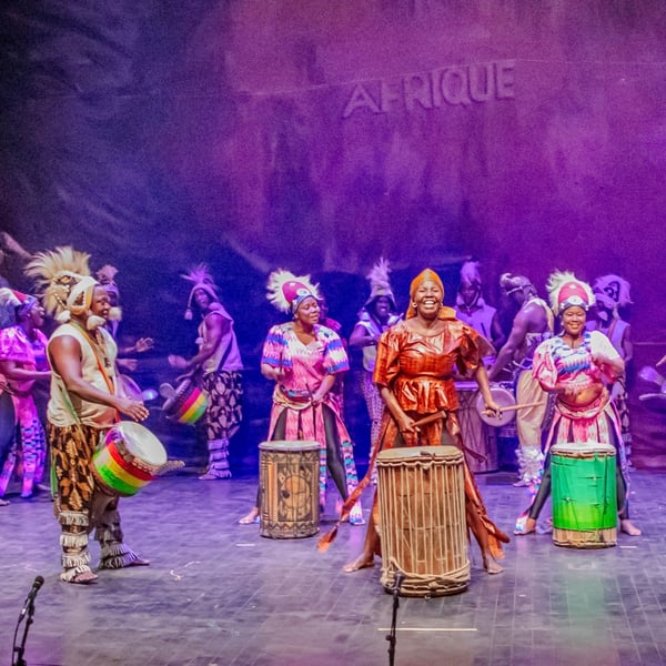 Les Ballets Africains – A Performance for the World