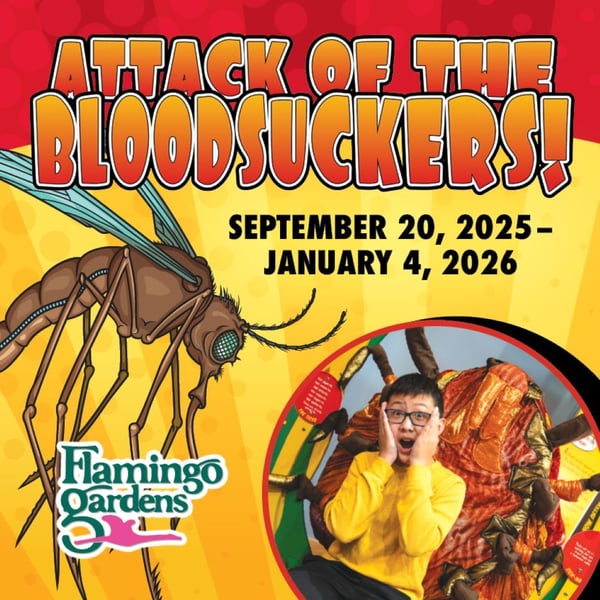 Attack of the Bloodsuckers! at Flamingo Gardens
