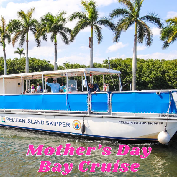 Mother's Day Bay Cruise