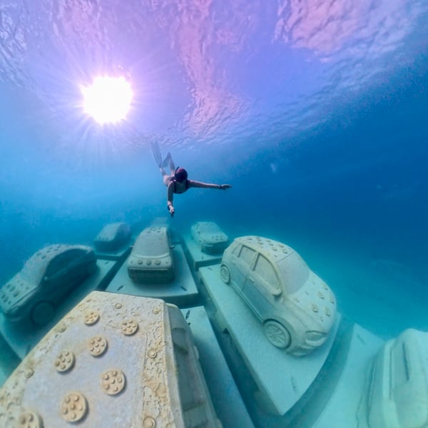 Imagine: Art in the Environment