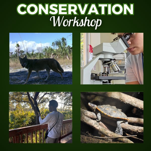 Conservation Workshop