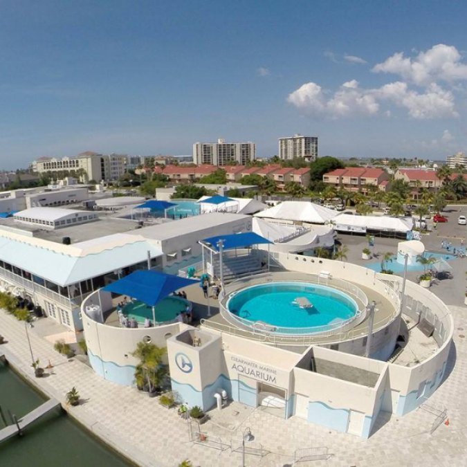 Clearwater Marine Aquarium