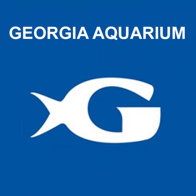 Georgia Aquarium