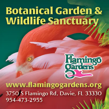 Botanical Garden museum -miami