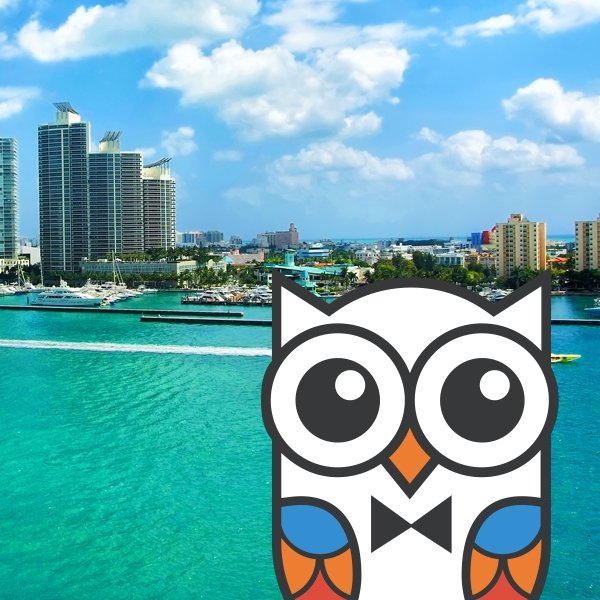 CultureOwl Has Landed!