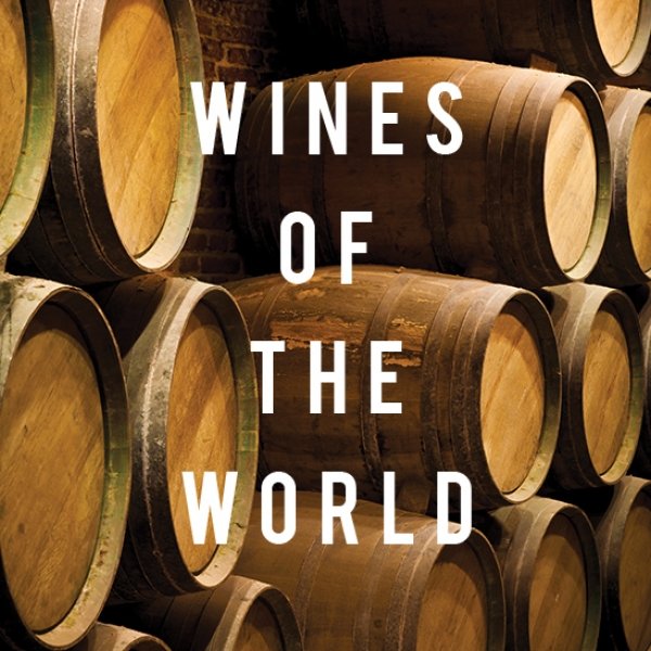 Wine Industry Icon Attends Symphony of the Americas Benefit