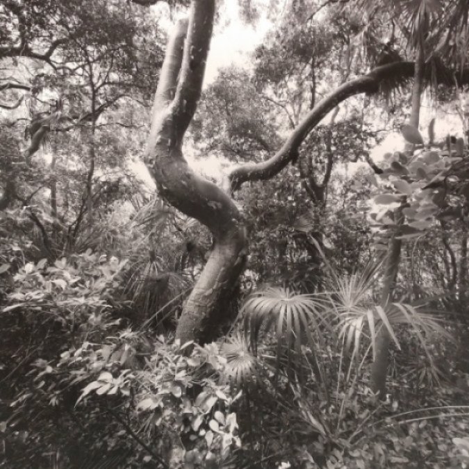 World Class Photos at Key West Tropical Forest & Botanical Garden