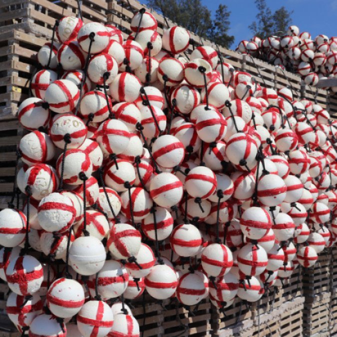 Picks of the Week: Art, Festivals, and More...