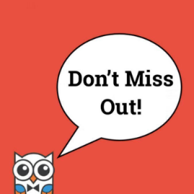 TOP 10 EVENTS NOT TO MISS IN TAMPA BAY 