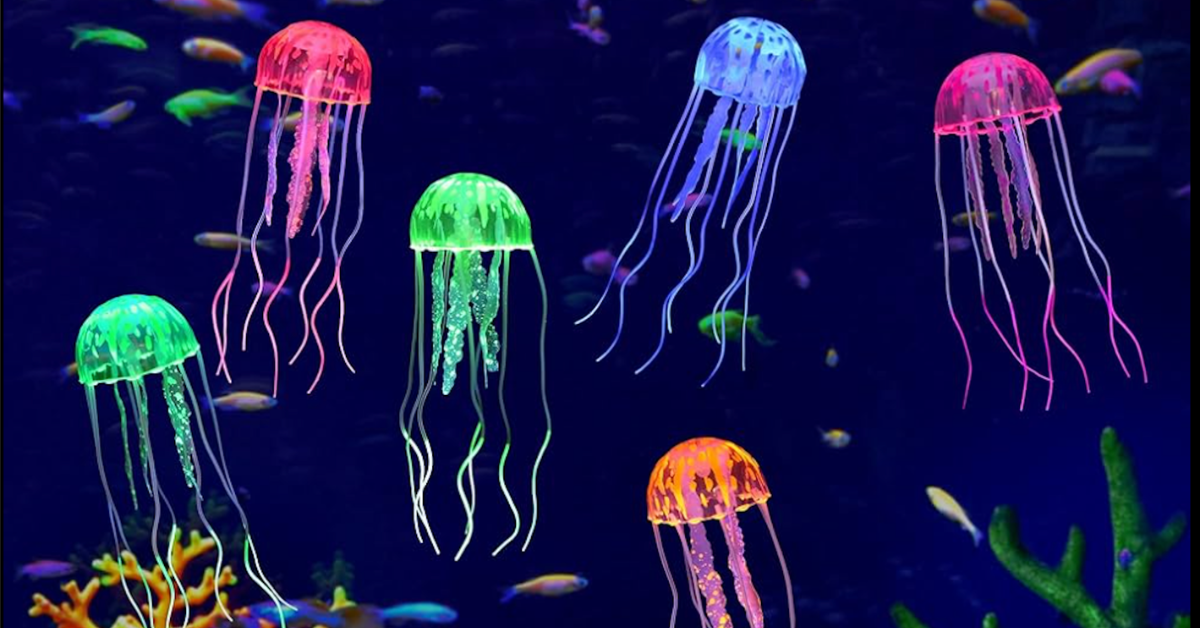 A New Kind of Coastal Experience Arrives in South Florida