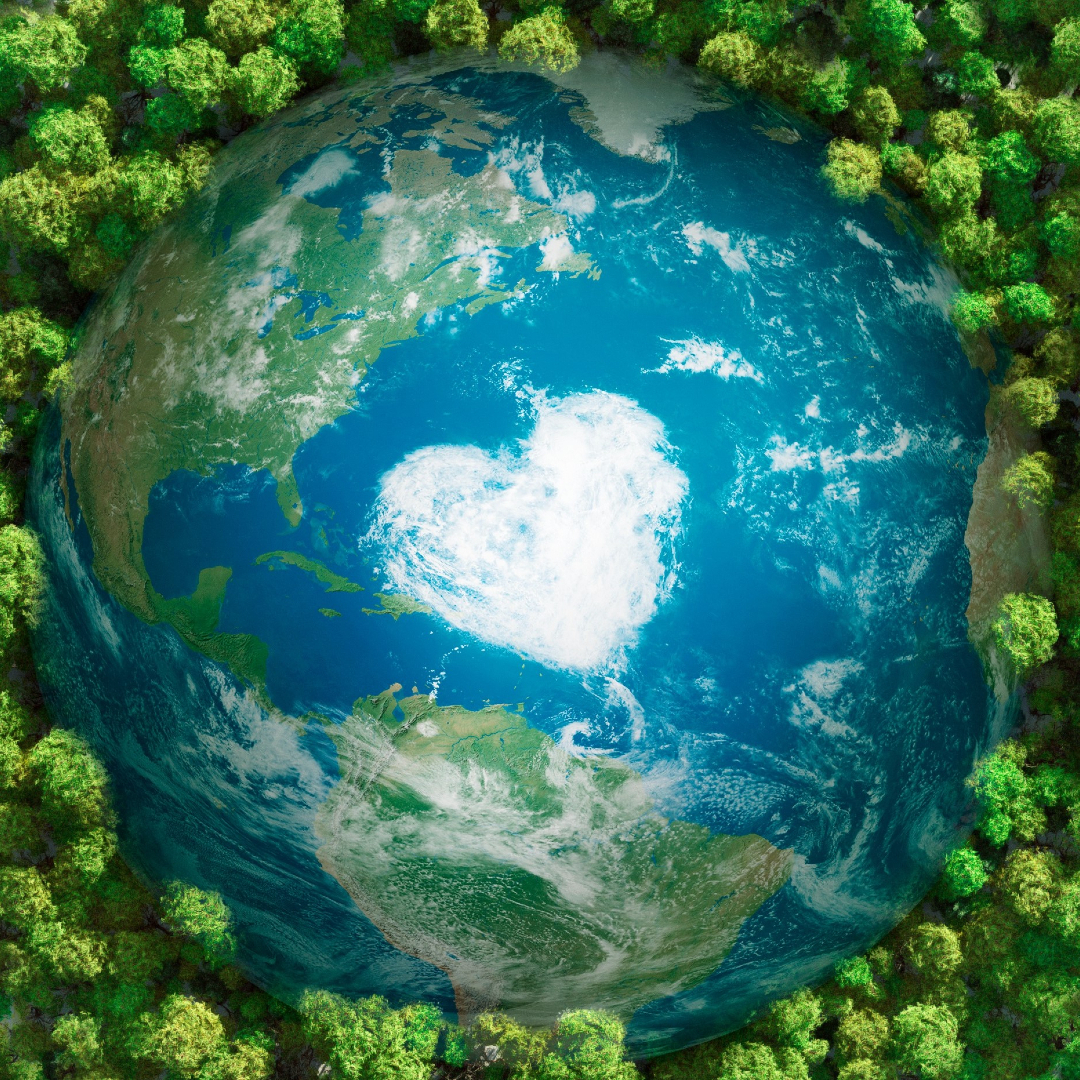 CELEBRATING EARTH AT SAVOR CINEMA