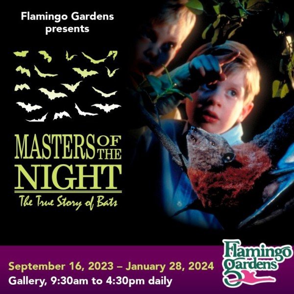 Flamingo Gardens Presents: "Masters of the Night: The Truth About Bats"