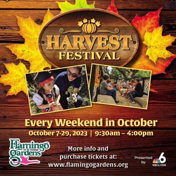 Harvest Festival Weekends at Flamingo Gardens