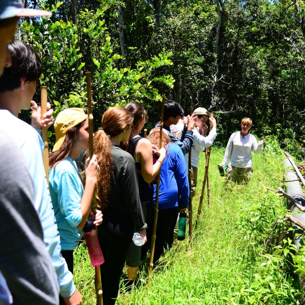 Deering Estate Junior Naturalists