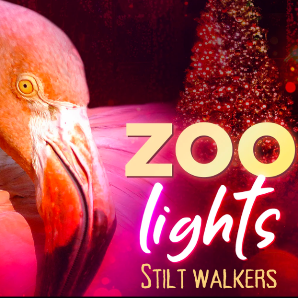 Zoo Lights : FTF Stilt Walkers