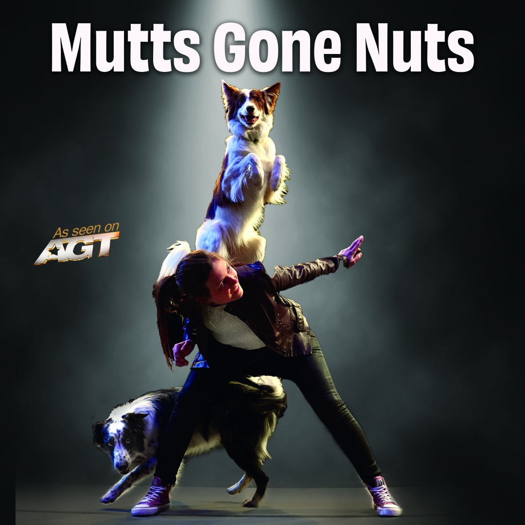 Mutts Gone Nuts