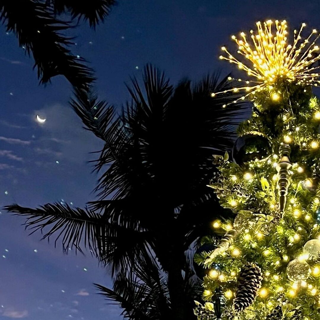 Twilight Tour & Campfire at Deering Estate