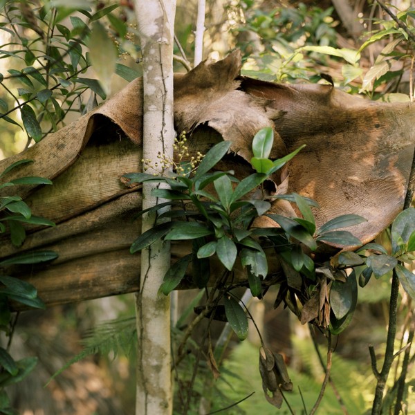 Exhibit: Lissete Schaeffler & Bill Cruz: Eden’s Bridge