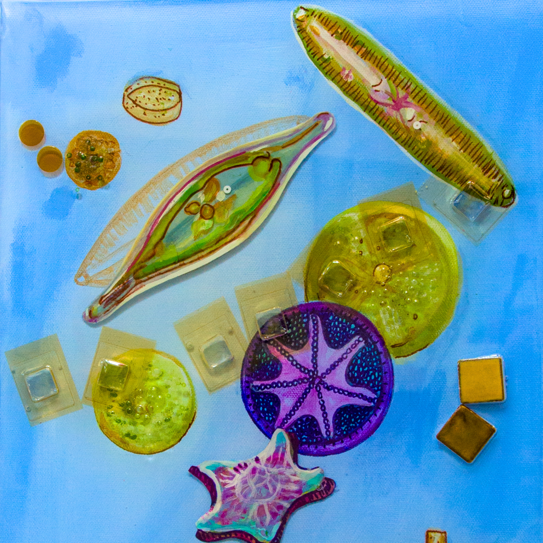 Summer Exhibition Series