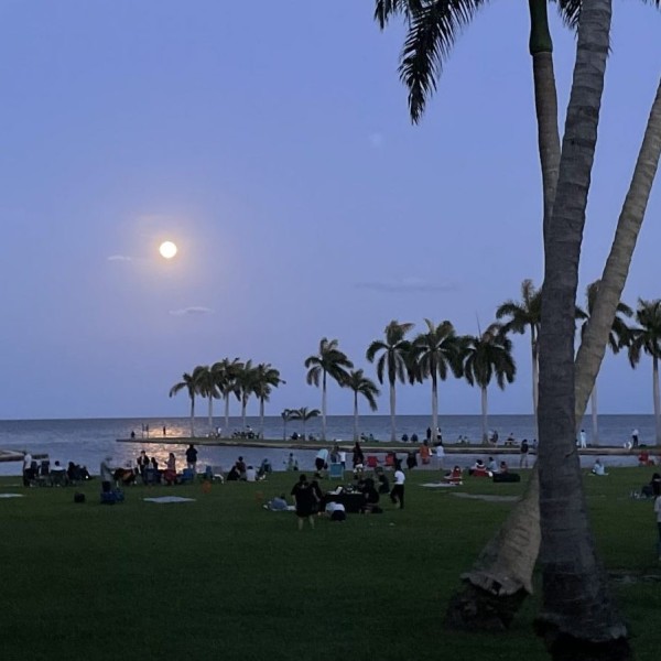 Moon Viewing at Deering Estate- February 