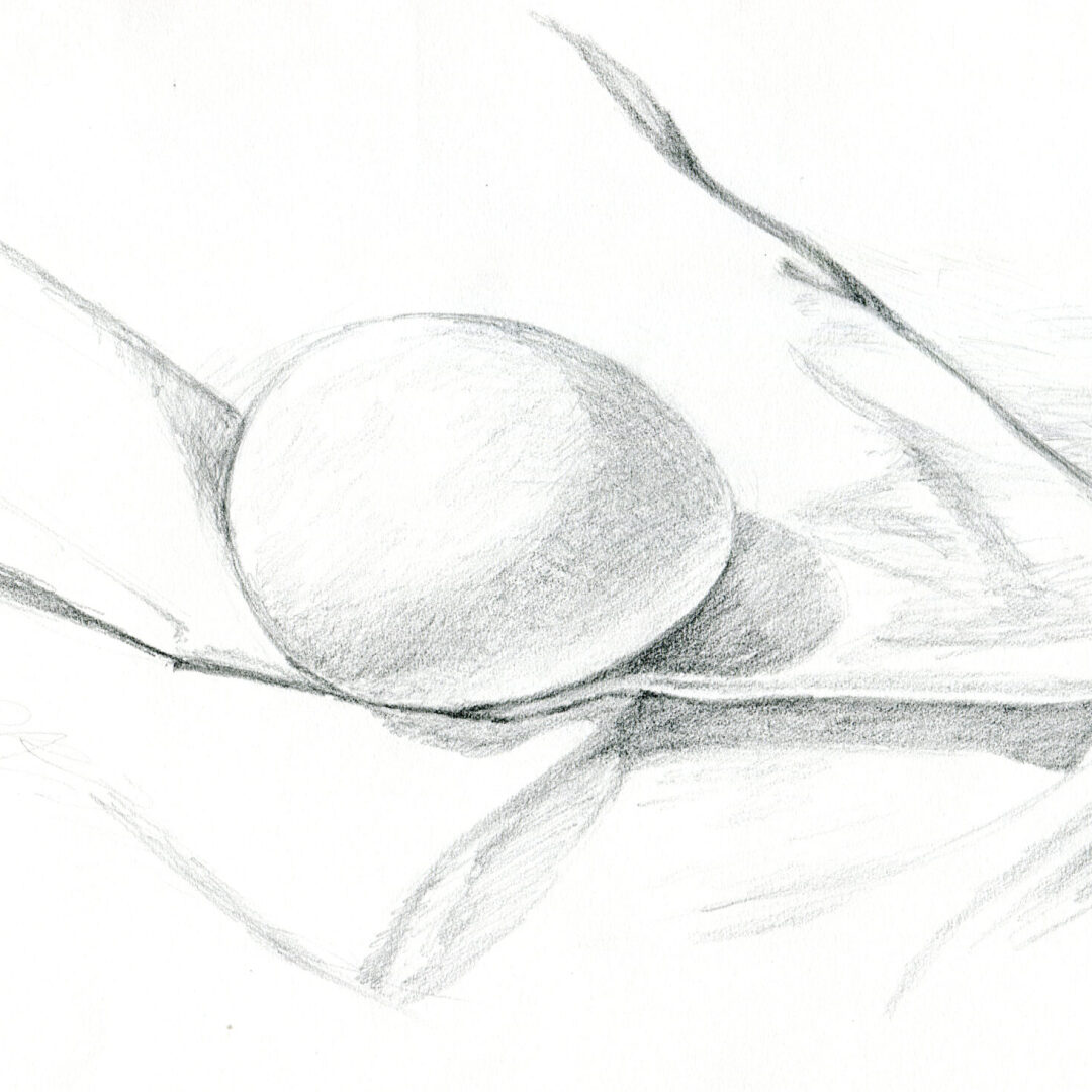 DR401 Basic Drawing With Melissa Miller Nece