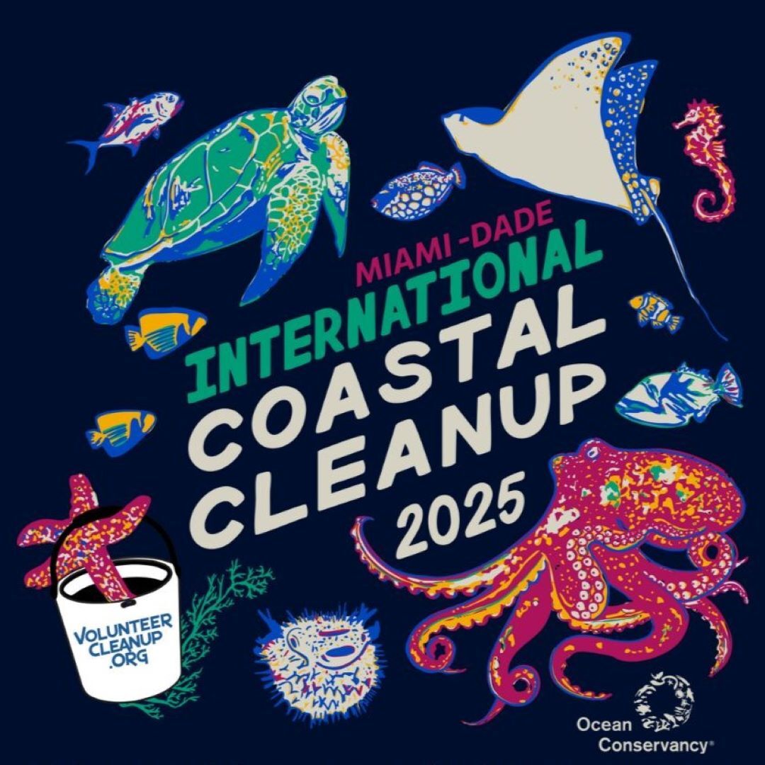International Coastal Cleanup at Deering Estate
