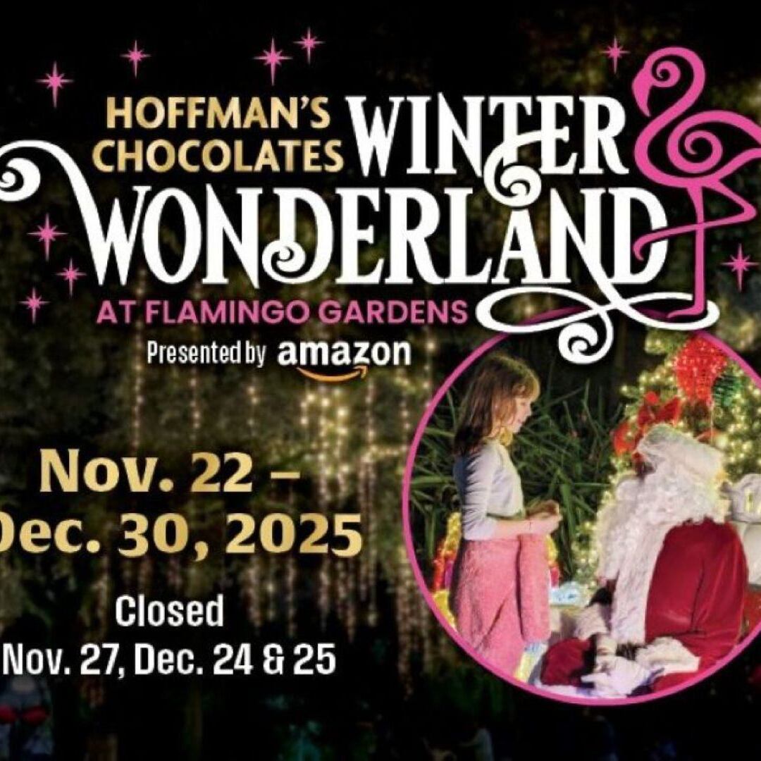 Hoffman's Chocolates Winter Wonderland at Flamingo Gardens pres. by Amazon