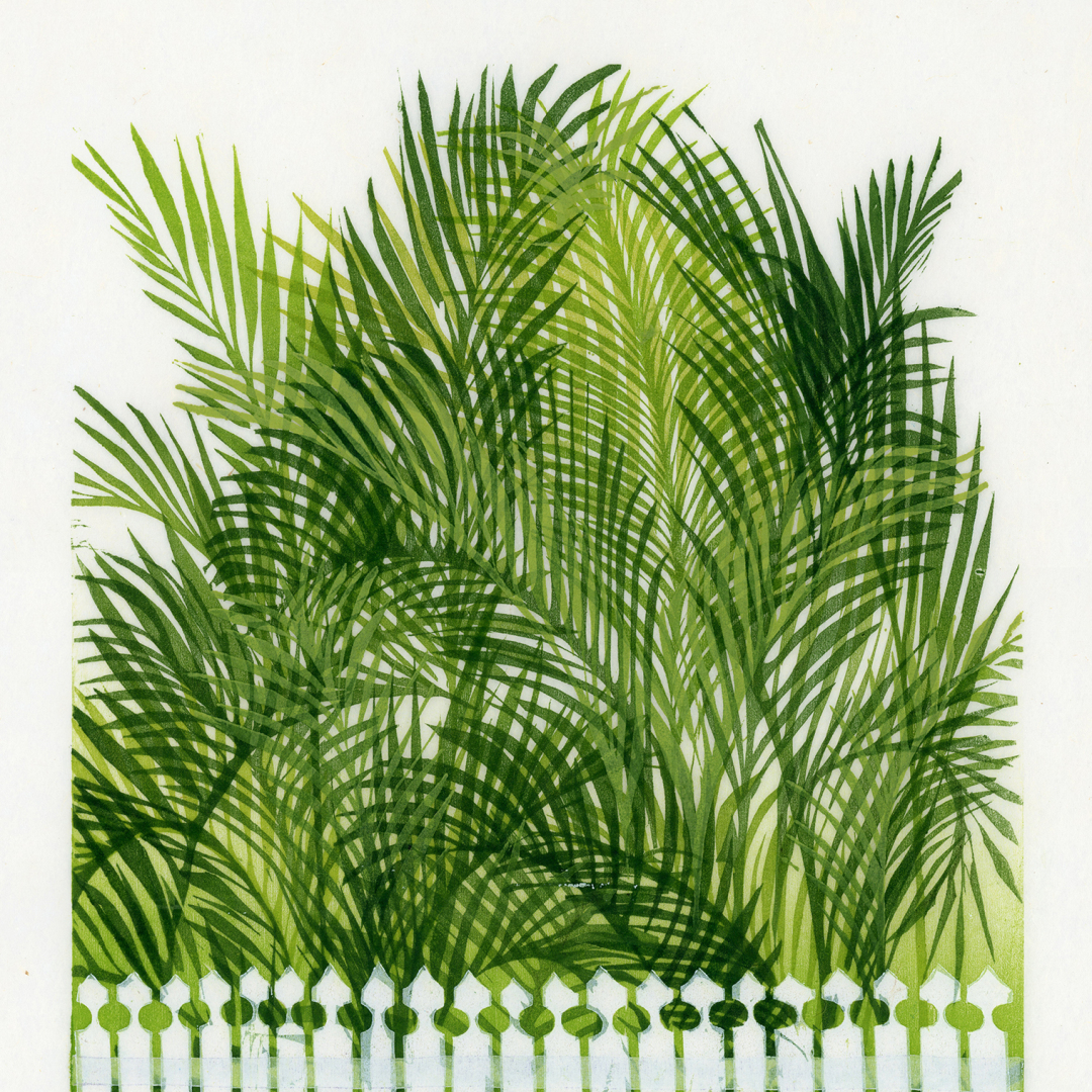 Mango Madness Summer Members' Exhibit