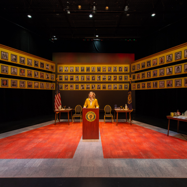 What the Constitution Means to Me by Heidi Schreck