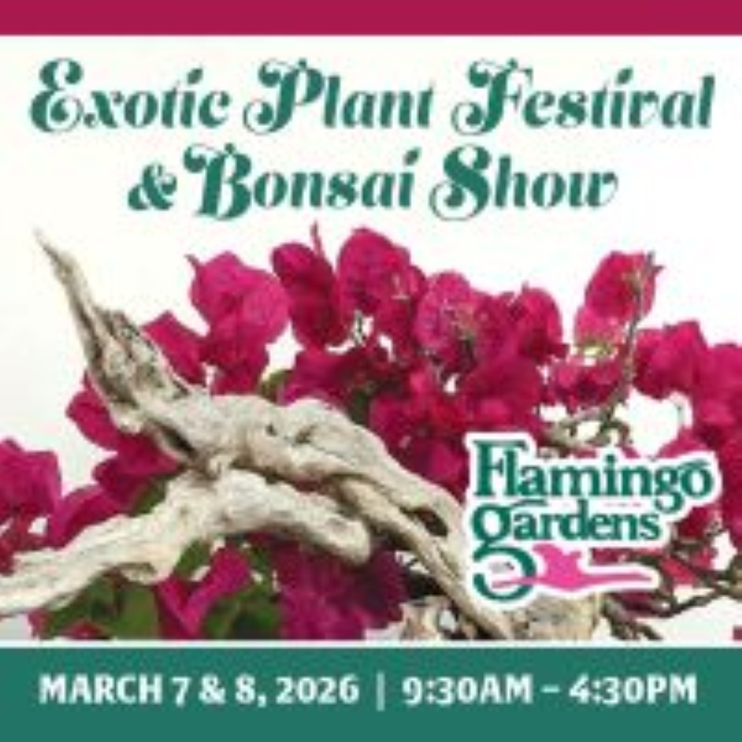 Flamingo Gardens Exotic Plant Festival & Bonsai Show