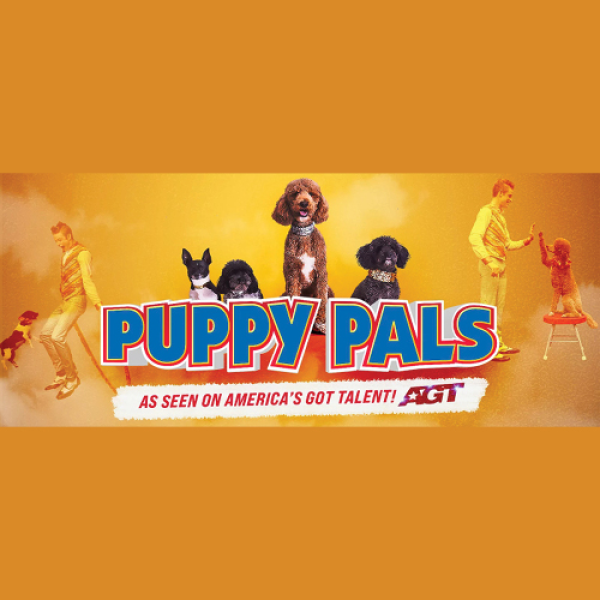 Puppy Pals Comedic Stunt Dog Show