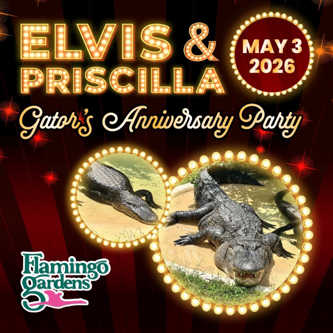 Elvis & Pricilla (Gator's) Anniversary 