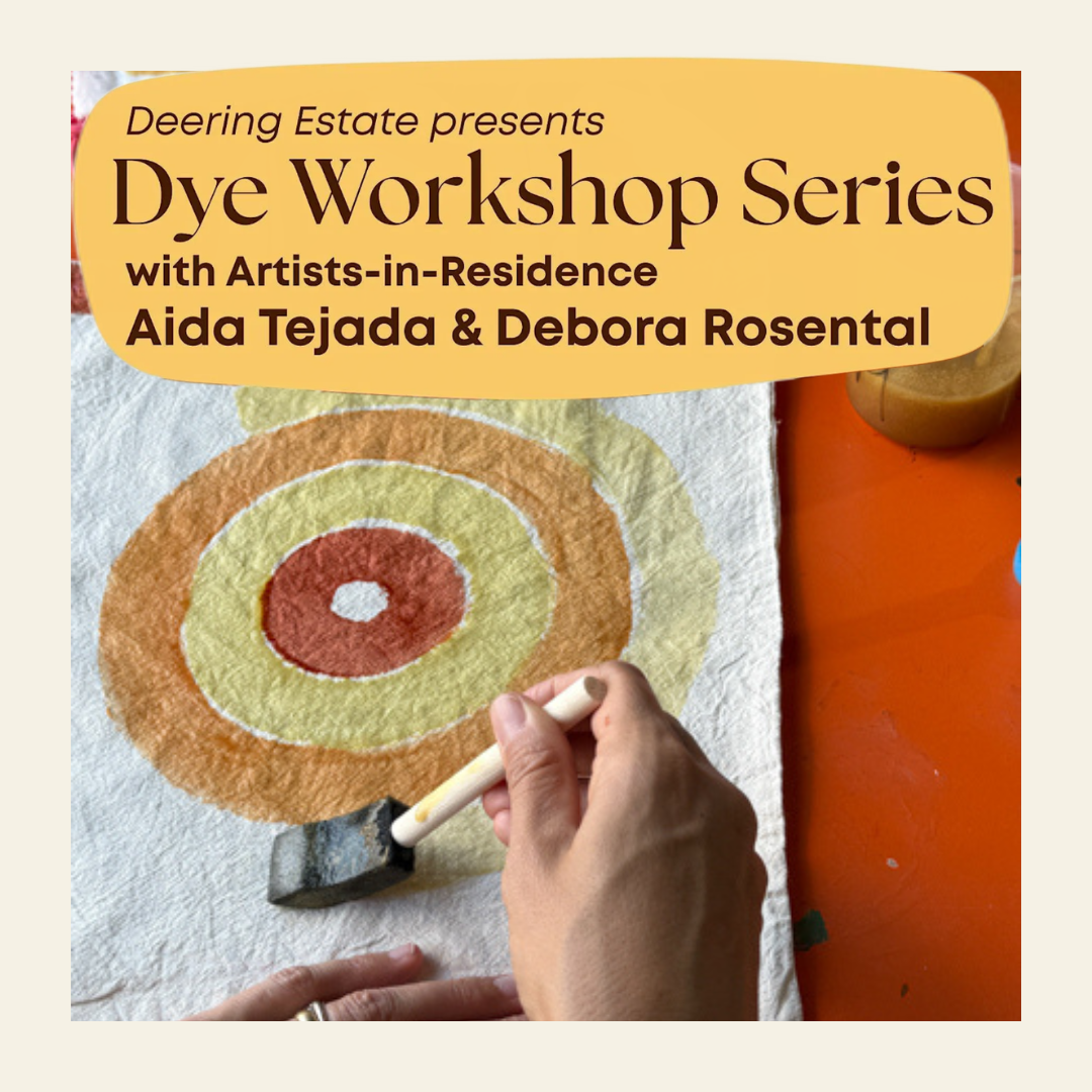 Dye Workshop Series with AIRs Aida Tejada & Debora Rosental