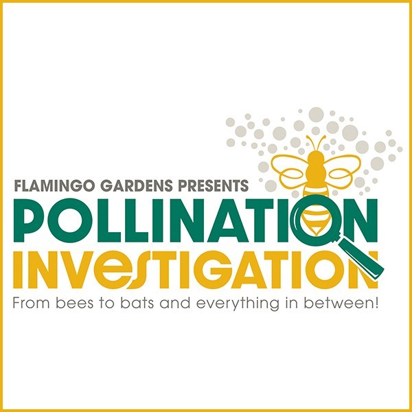Pollination Investigation at Flamingo Gardens
