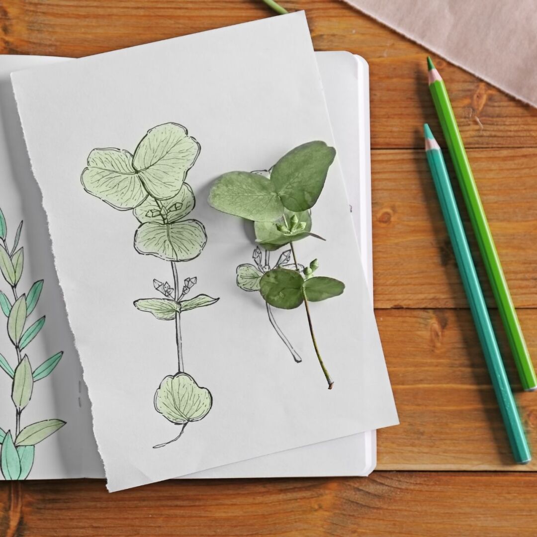 TN112 Drawn to Nature for Teens with Sara Ratza