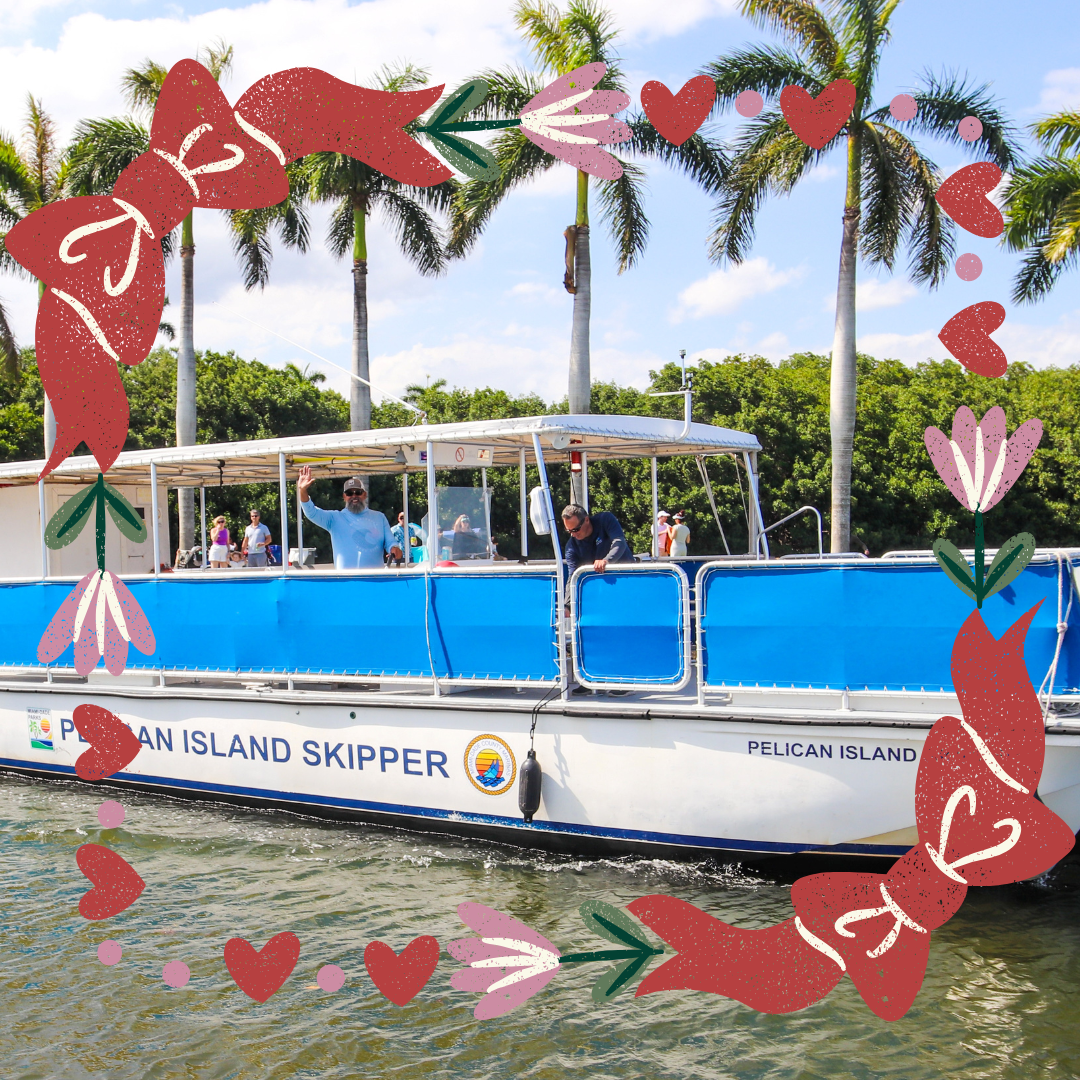 Valentine's Bay Cruise