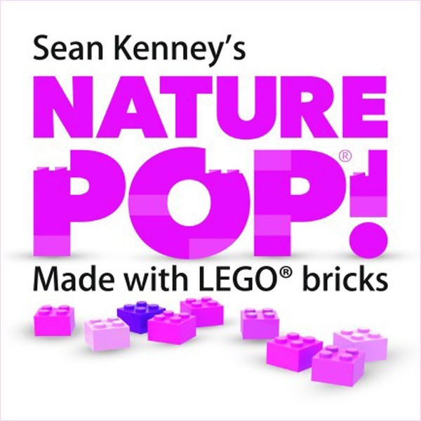 Flamingo Gardens' Nature POP! Art Weekend