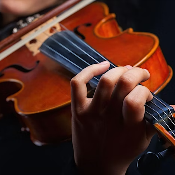 String Chamber Ensembles Concert