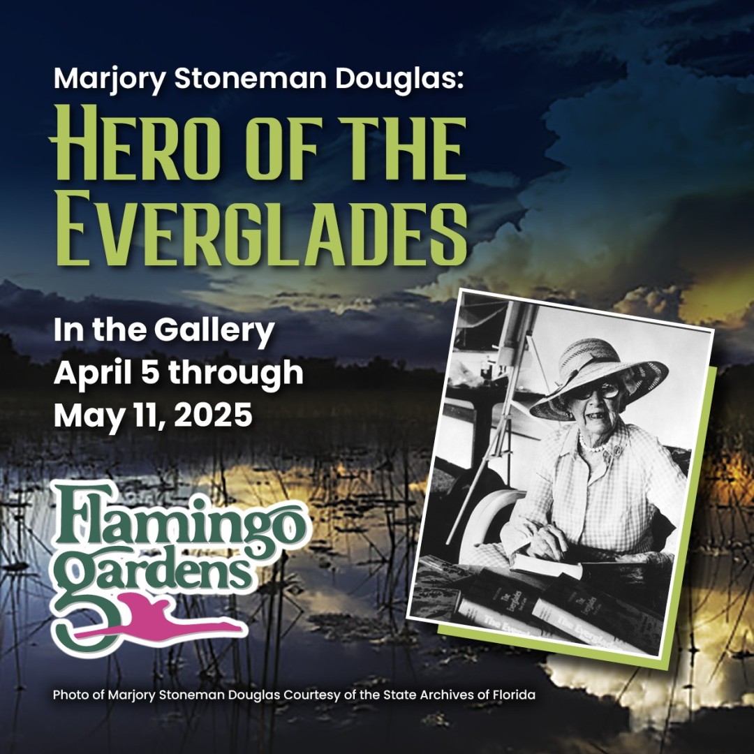 Marjory Stoneman Douglas, Hero of the Everglades