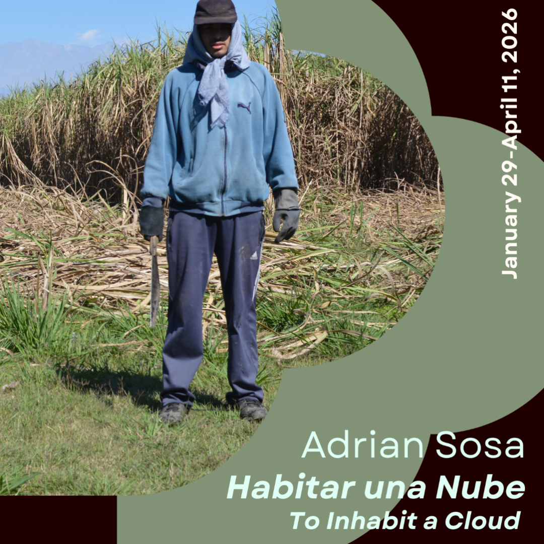 Opening Reception: Habitar una Nube-an exhibition by Adrián Sosa