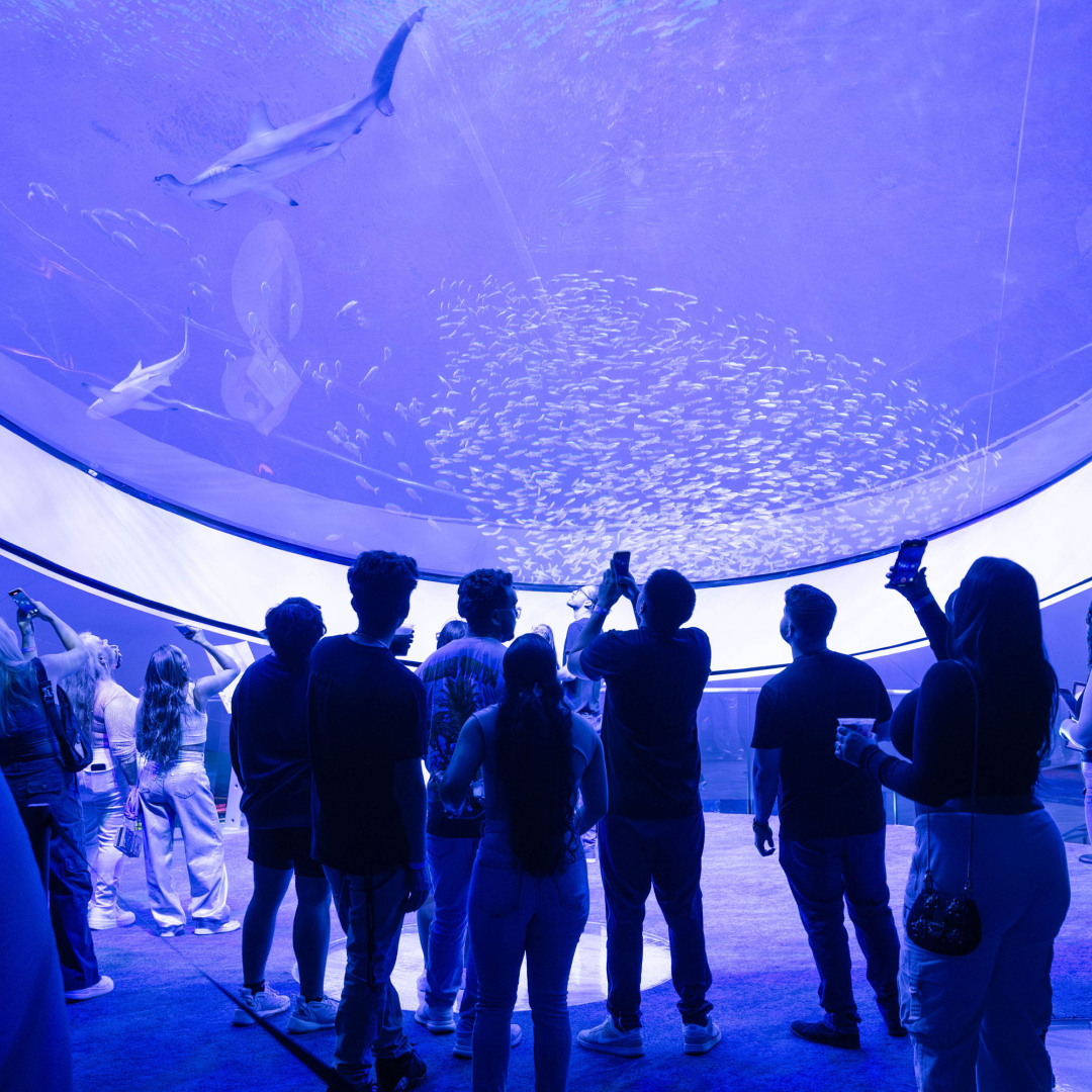 nightLAB: Beyond the Algorithm