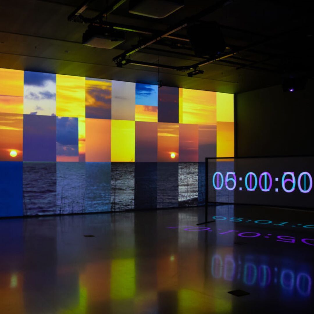 Charles Atlas: Kiss the Day Goodbye