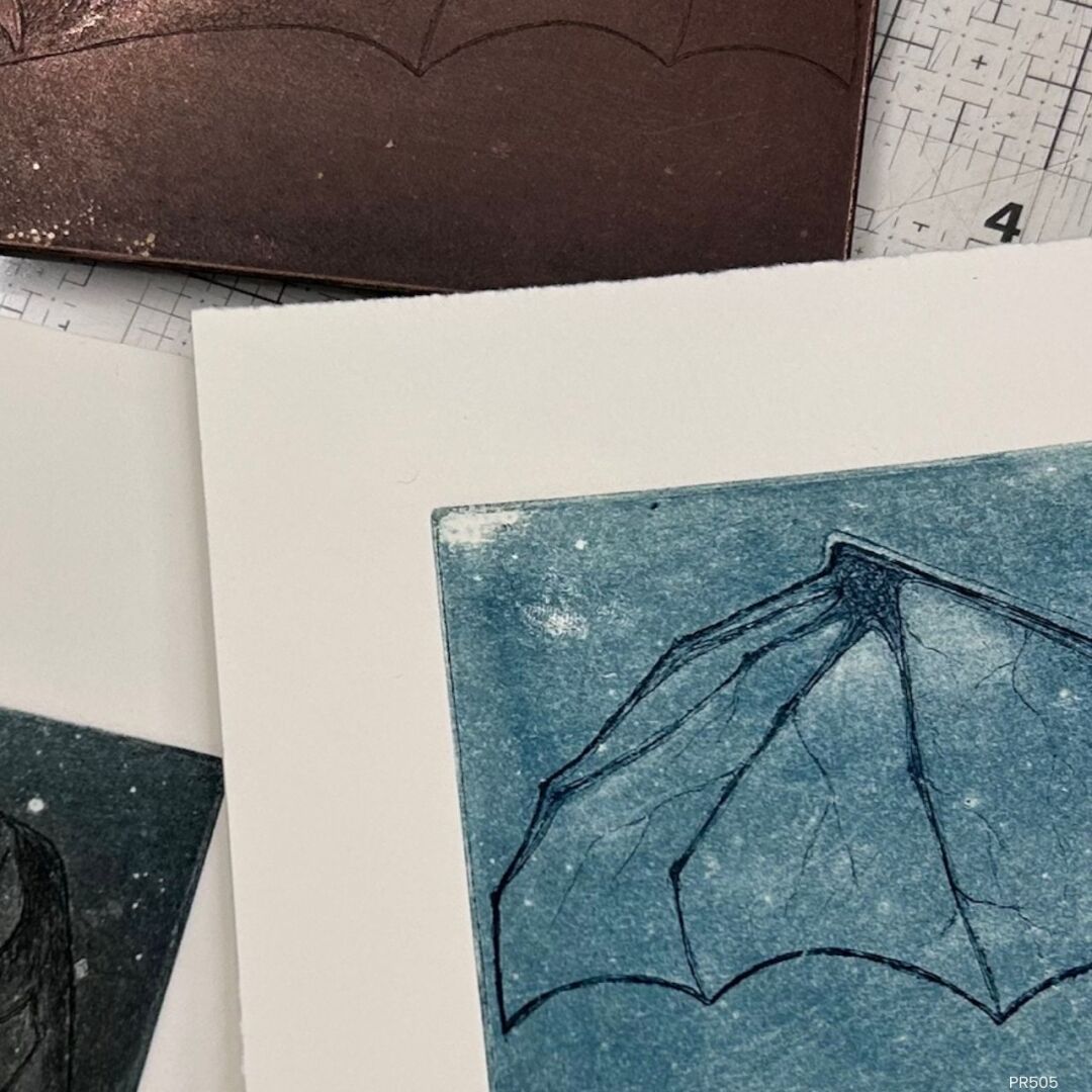Advanced and Professional Intaglio Etching with Holly Bird